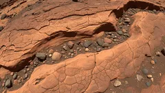 Marte s-a dovedit a fi mai „plină de viață” decât se credea: o nouă descoperire a oamenilor de știință