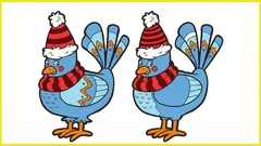 Doar 30% dintre oameni reușesc să găsească toate cele 5 diferențe în 10 secunde