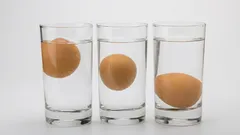 Nu consumați ouă stricate: acest test de 10 secunde vă va arăta dacă sunt proaspete