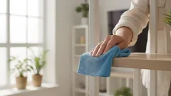 Praful dispare de la sine: un truc simplu cu o pungă, despre care profesioniștii în curățenie nu vorbesc